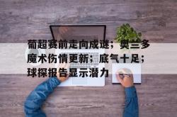 葡超赛前走向成谜；奥兰多魔术伤情更新；底气十足；球探报告显示潜力的简单介绍爱游戏下载